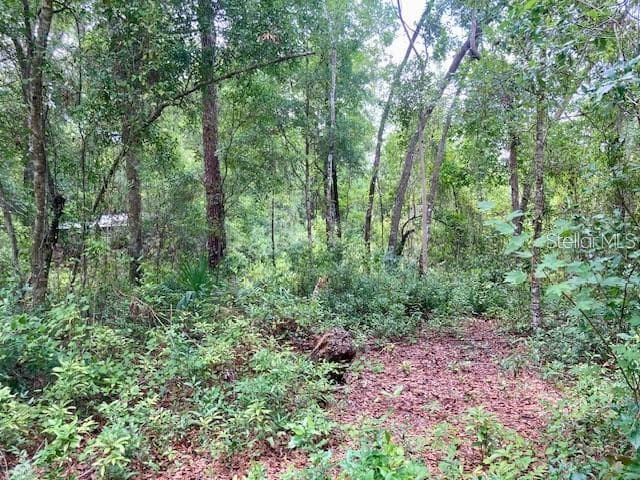407 RAULERSON RD