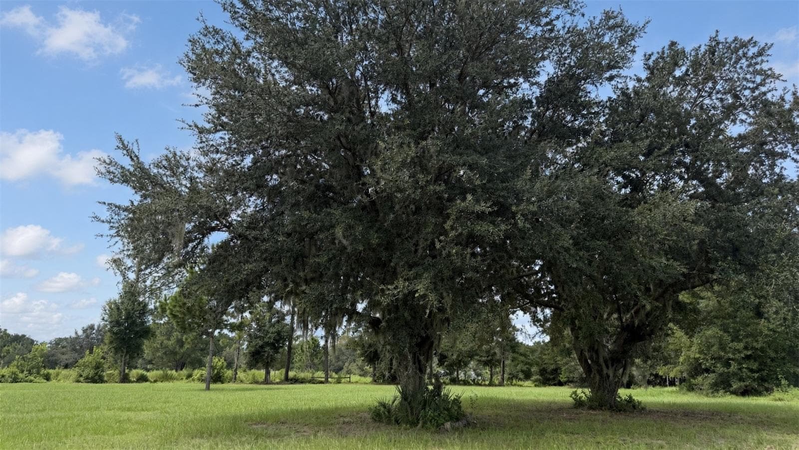 Land at 0 POWELL RD, BROOKSVILLE, photo 11 of 24