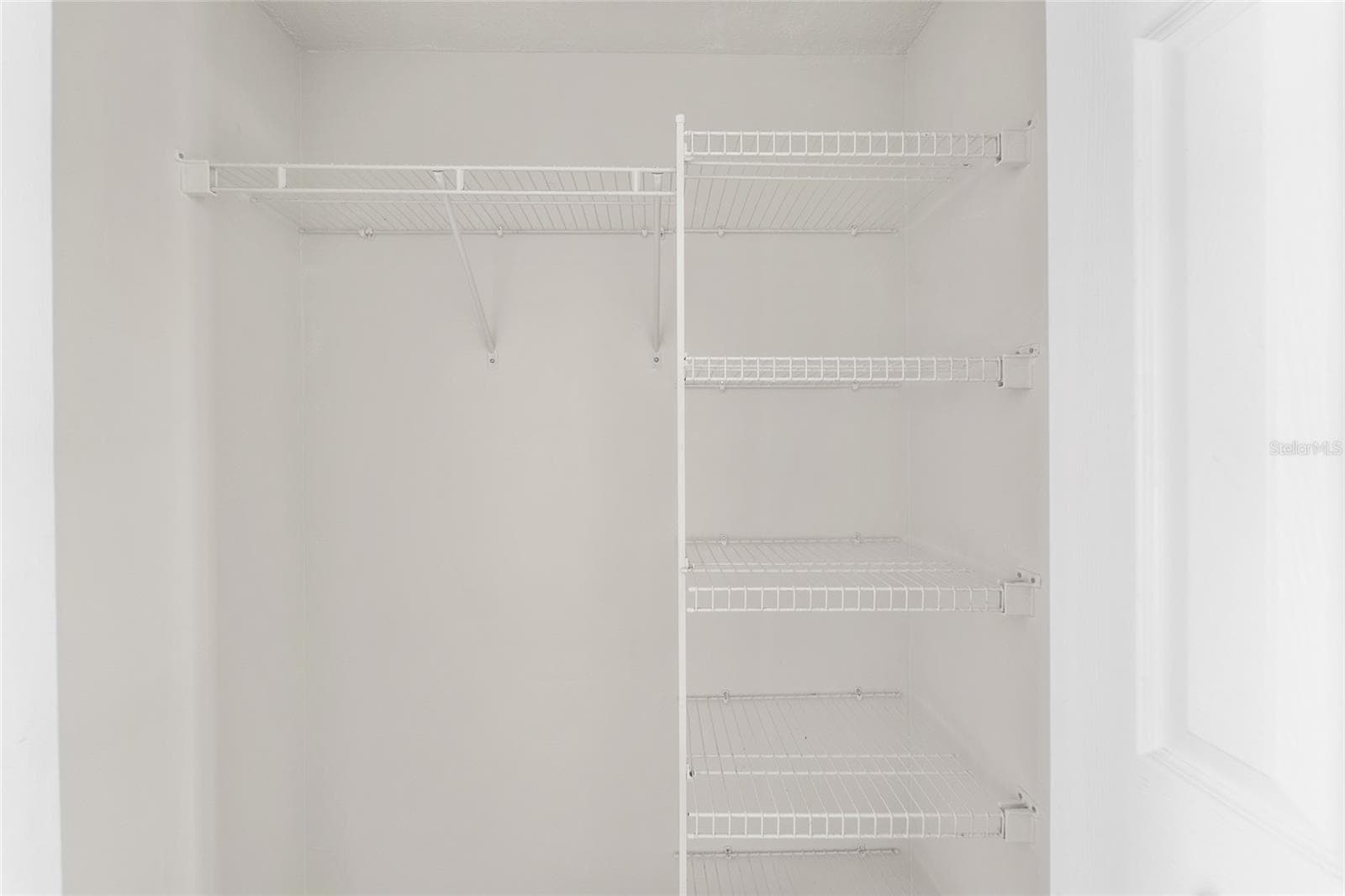 Master Bedroom Closet 2 - 7040 FRASCATI LOOP, WESLEY CHAPEL