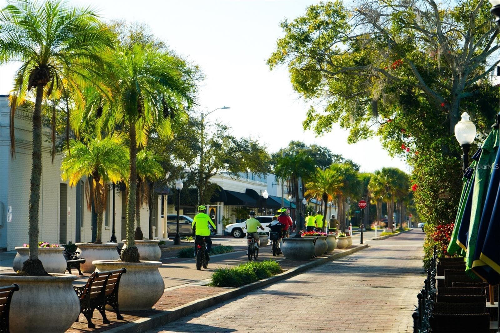 Pinellas trail for bike riding or walking - 229 DIXIE, TARPON SPRINGS