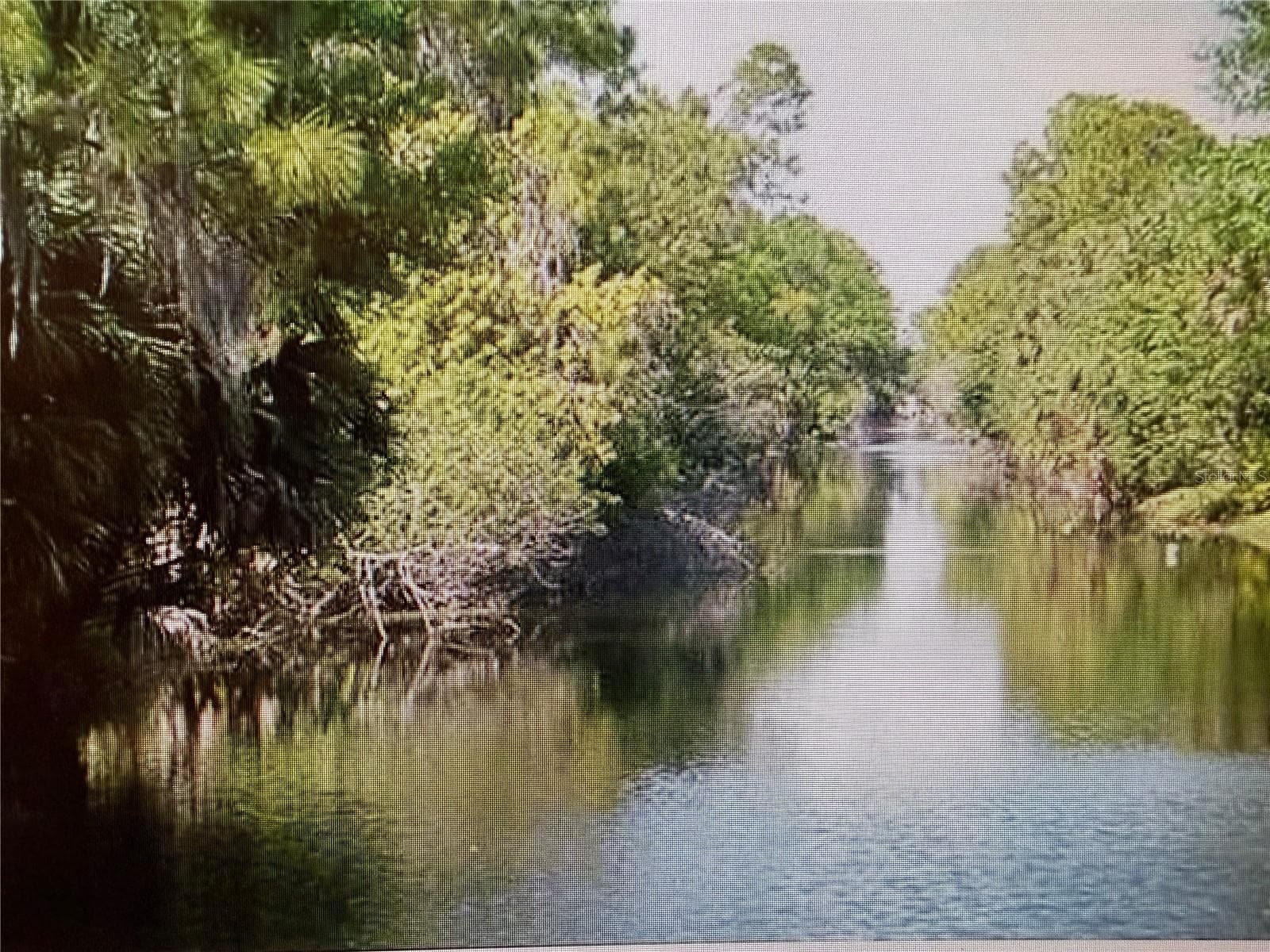 Land at 296 HINTON ST, PORT CHARLOTTE, photo 3 of 4
