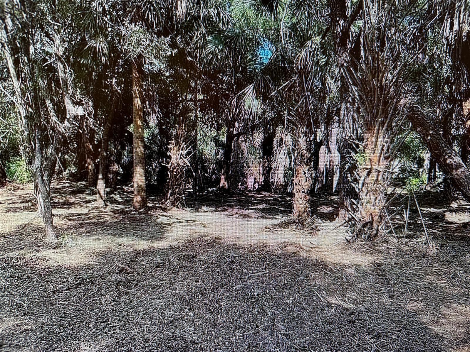 Land at 296 HINTON ST, PORT CHARLOTTE, photo 4 of 4