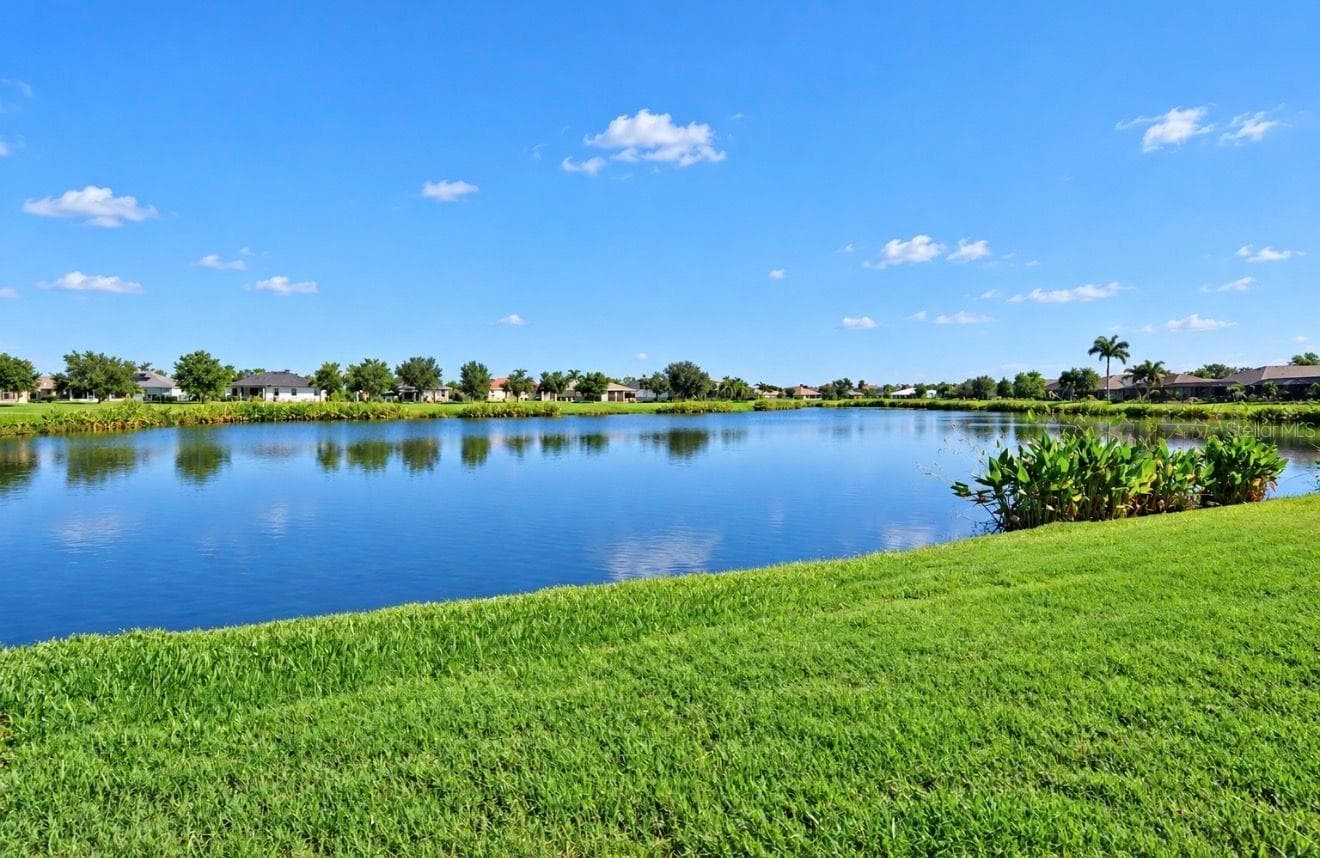 Single Family Residence at 337 STAR SHELL DR, APOLLO BEACH, photo 35 of 45