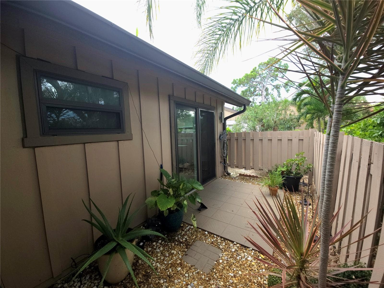 Front courtyard - 5699 WESTWIND LN, SARASOTA