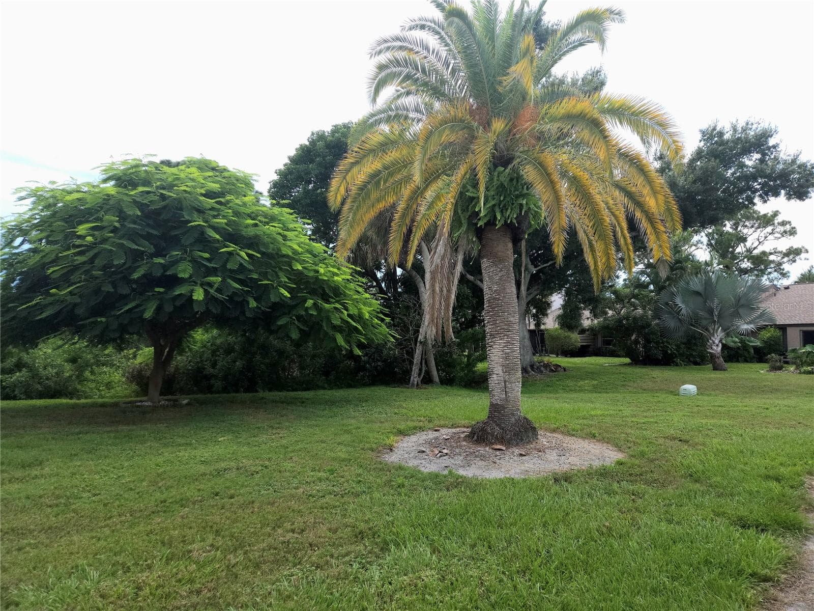 Common area by pool - 5699 WESTWIND LN, SARASOTA