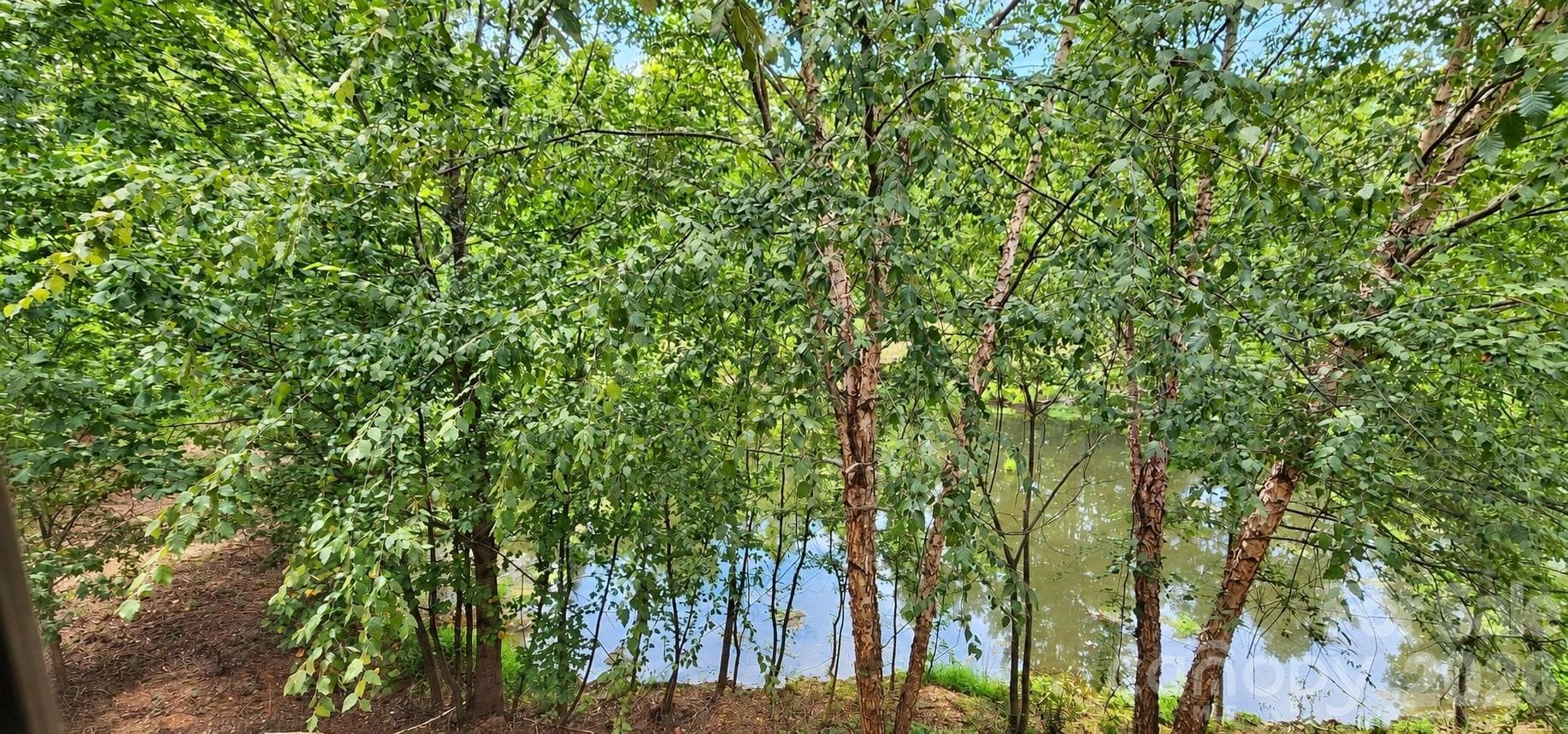 Wood/pond behind unit - 6552 Quarterbridge Lane, Charlotte
