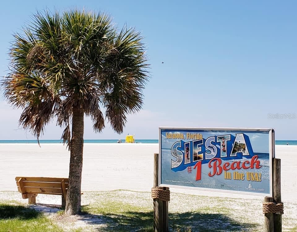 Bike or drive to world-famous Siesta Key--or Lido Key which is even closer. - 1650 PINE TREE LN #204, SARASOTA