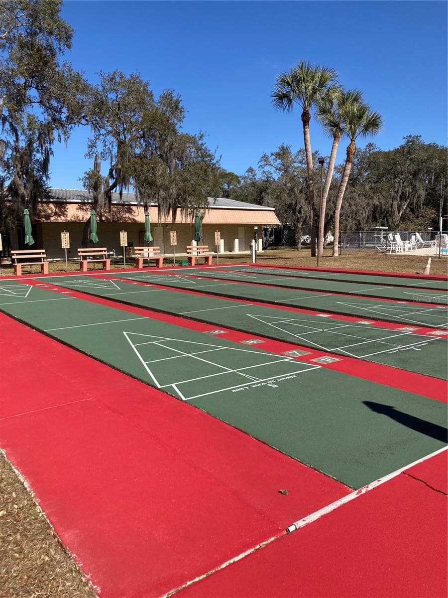 Shuffleboard courts - 1875 STACEY DR, MOUNT DORA