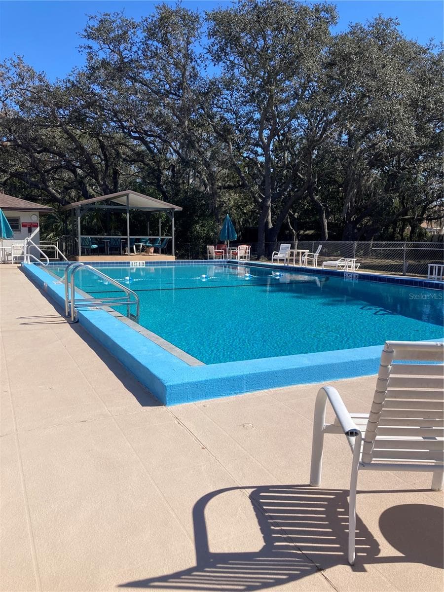 Community pool - 1875 STACEY DR, MOUNT DORA