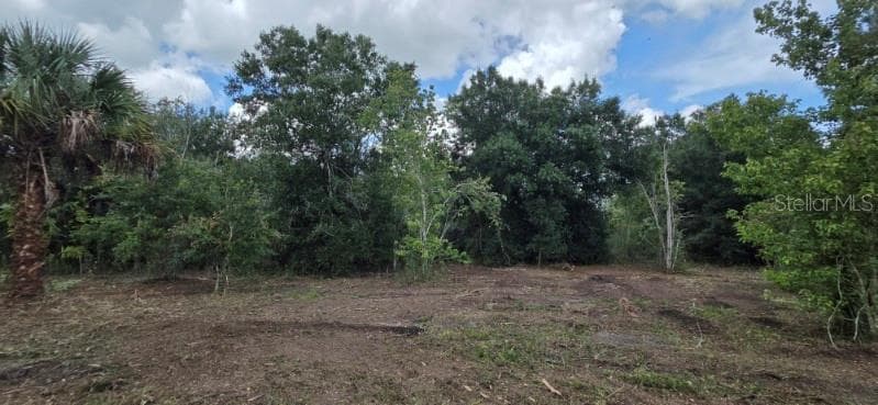 Land at 16171 NW 254TH ST, OKEECHOBEE, photo 6 of 16