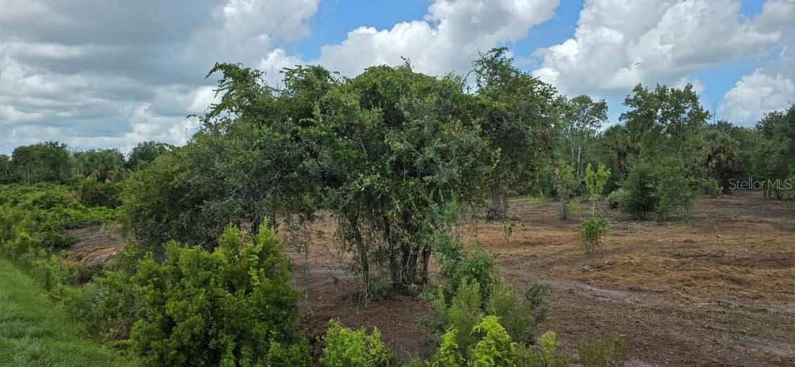 Land at 16171 NW 254TH ST, OKEECHOBEE, photo 8 of 16