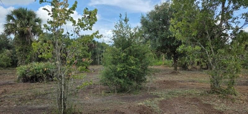 Land at 16171 NW 254TH ST, OKEECHOBEE, photo 9 of 16