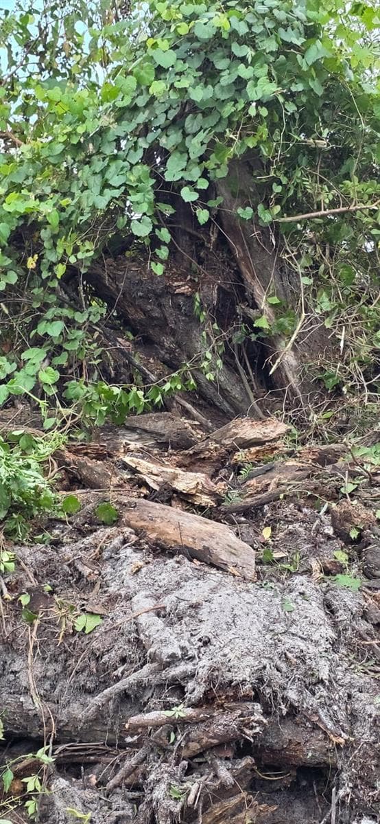 Land at 16171 NW 254TH ST, OKEECHOBEE, photo 10 of 16