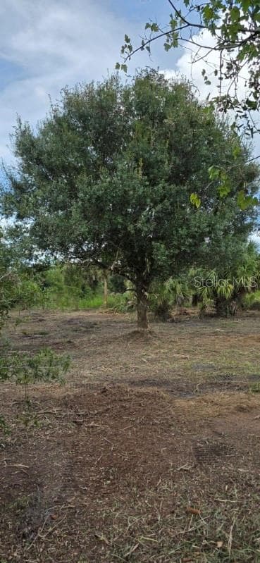 Land at 16171 NW 254TH ST, OKEECHOBEE, photo 11 of 16