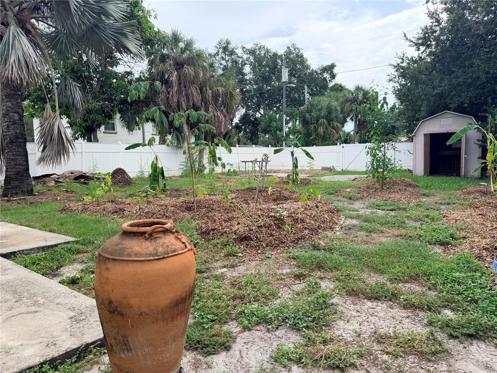 Food forest - 812 37TH AVE S, ST PETERSBURG
