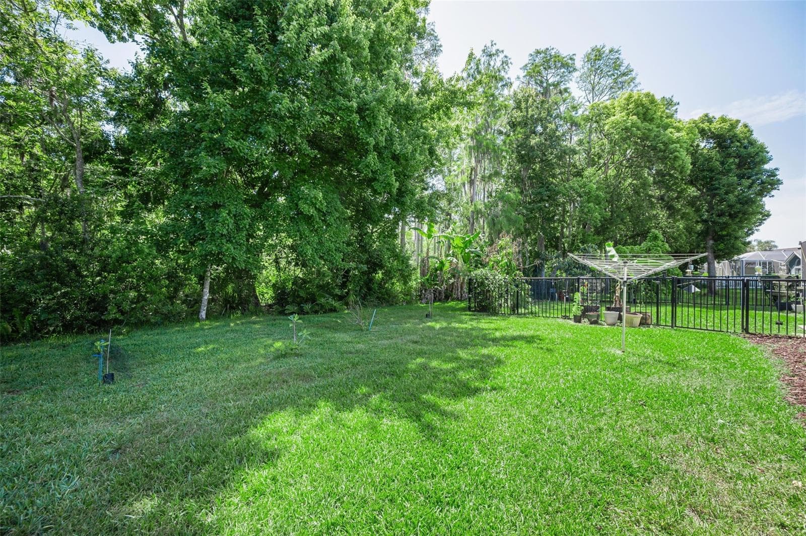 .28 acre conservation lot partially fenced - 1234 ARLINBROOK DR, TRINITY