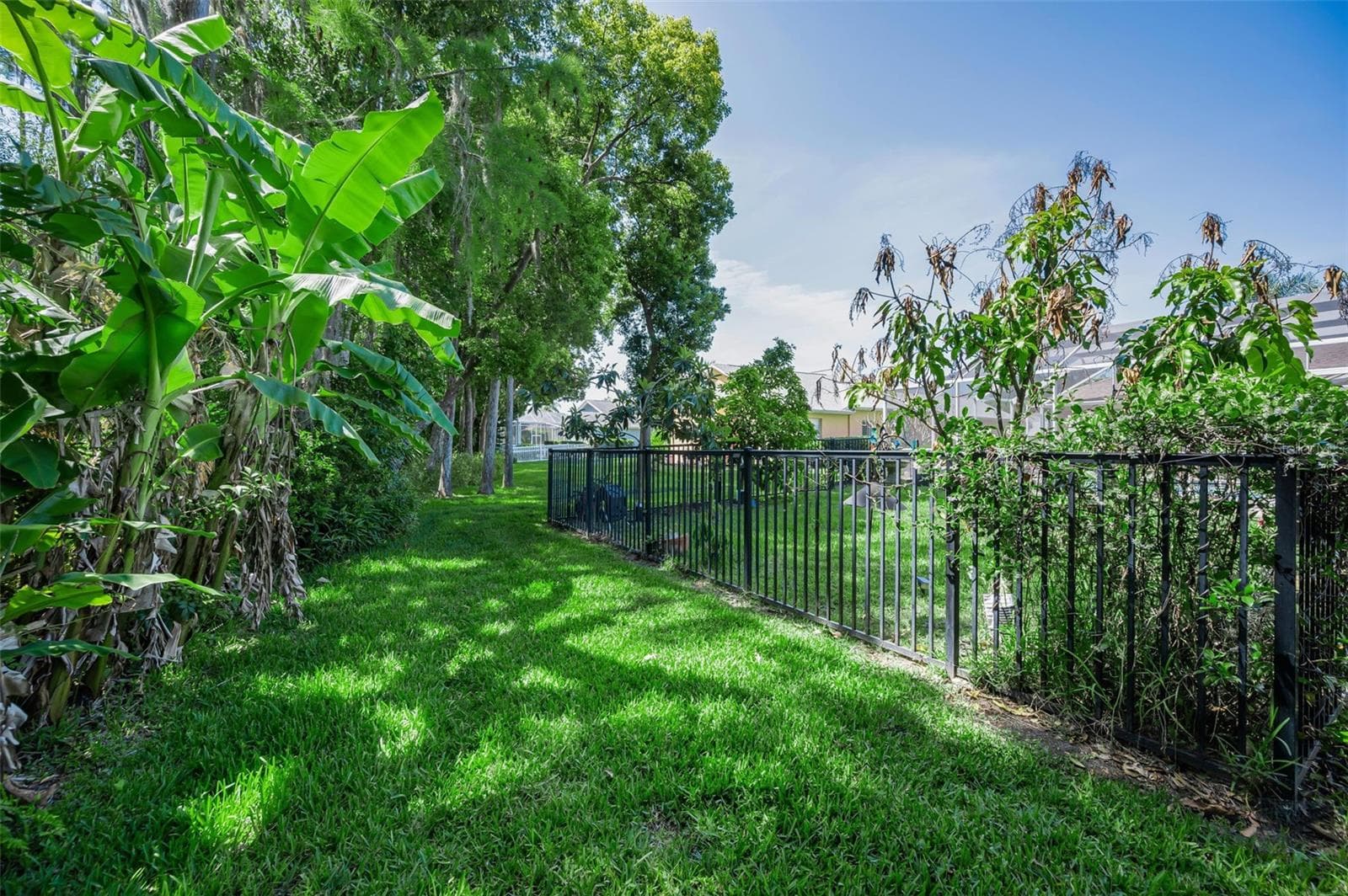 Conservation lot - 1234 ARLINBROOK DR, TRINITY