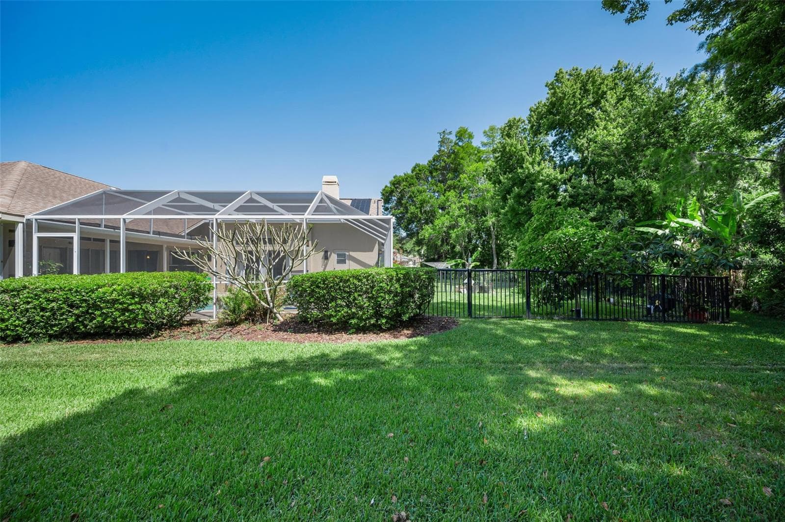 Rear Fenced in yard area - 1234 ARLINBROOK DR, TRINITY