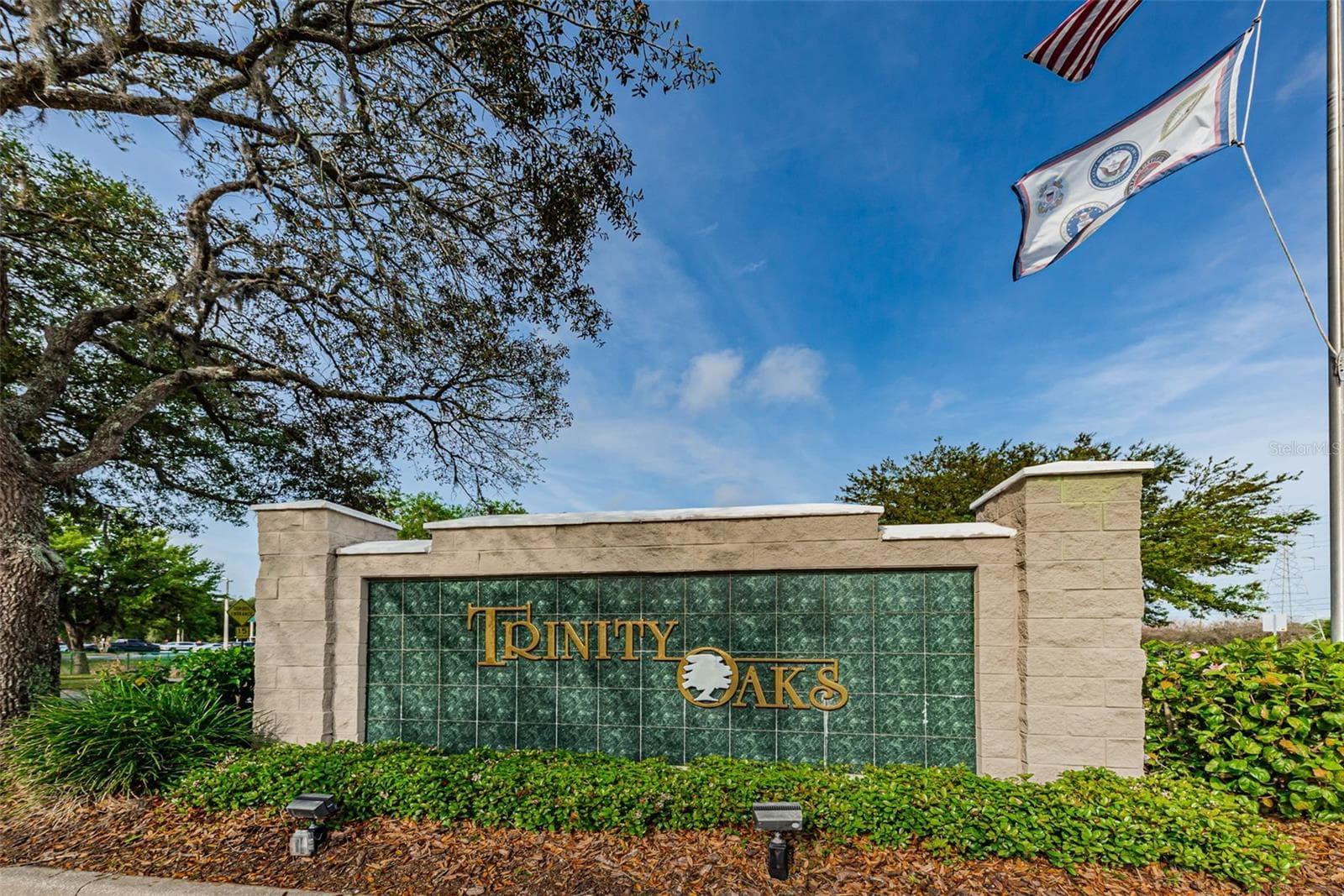 Trinity Oaks Entrance - 1234 ARLINBROOK DR, TRINITY