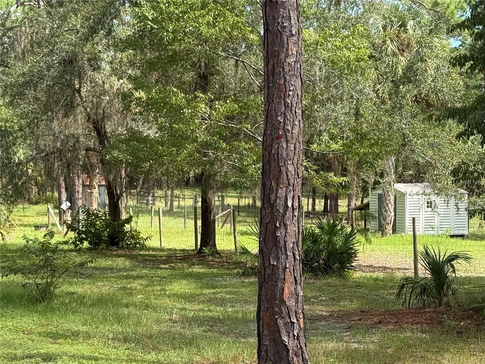 Single Family Residence at 8459 W OAK ST, CRYSTAL RIVER, photo 43 of 62