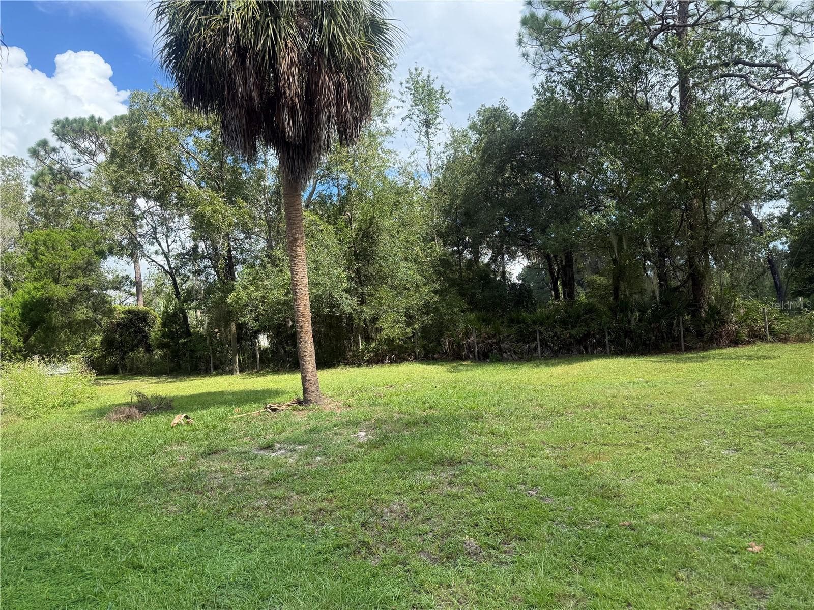 Single Family Residence at 8459 W OAK ST, CRYSTAL RIVER, photo 50 of 62