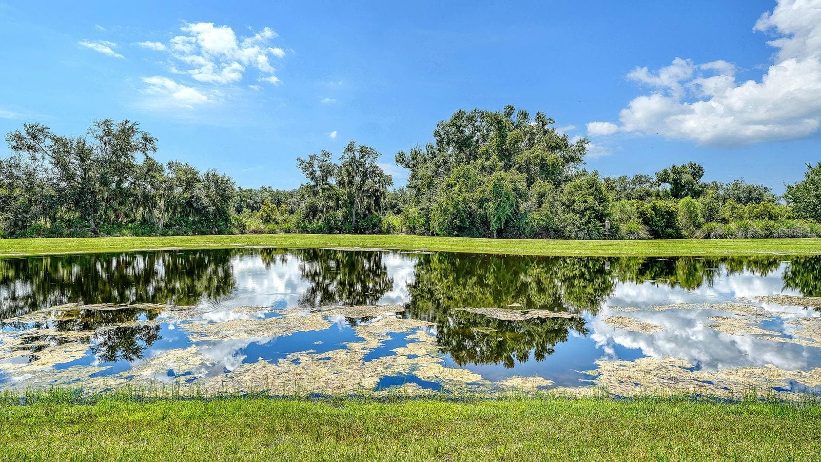 Single Family Residence at 7997 GRANDE SHORES DR, LAKEWOOD RANCH, photo 63 of 89