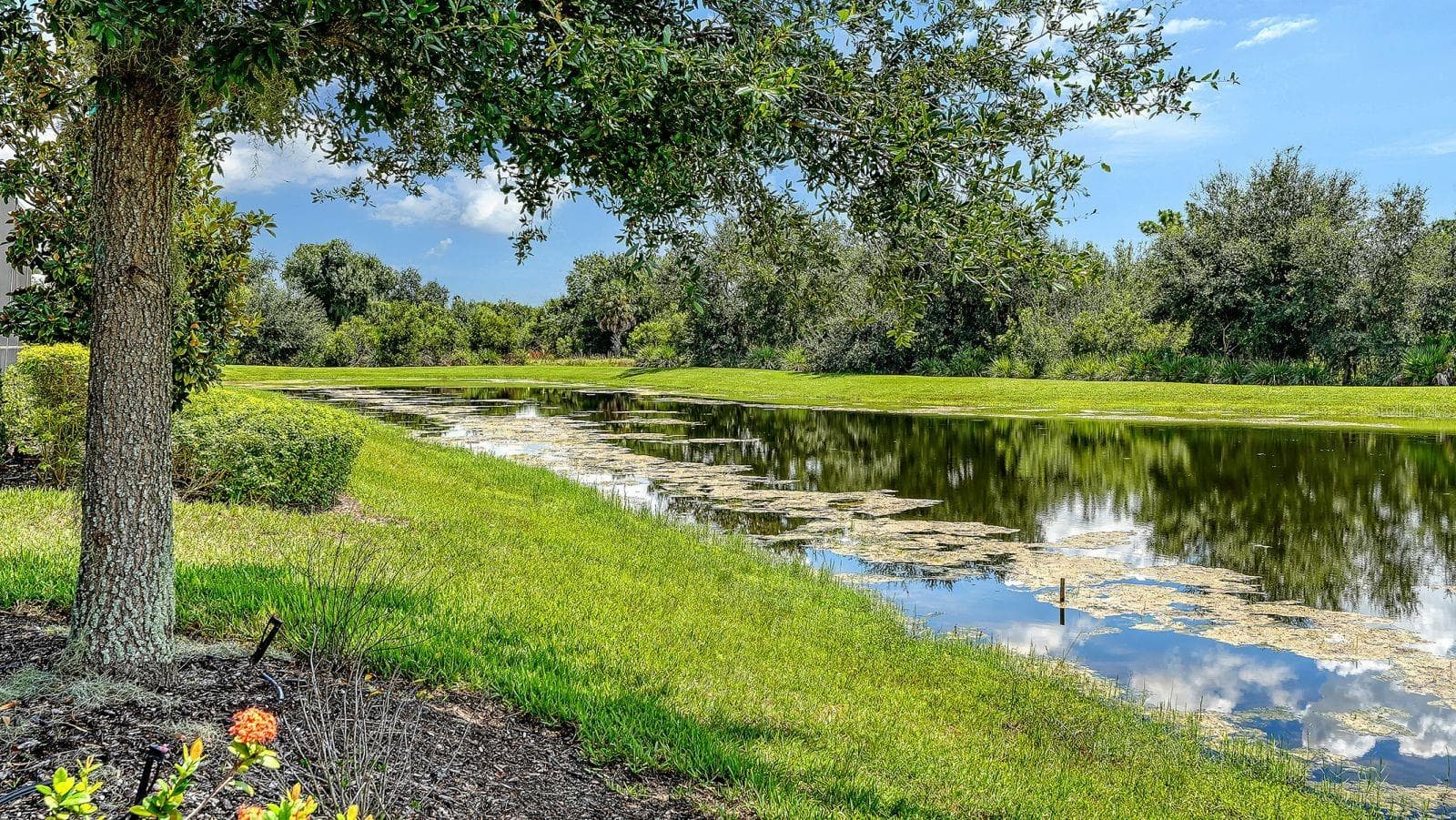 Single Family Residence at 7997 GRANDE SHORES DR, LAKEWOOD RANCH, photo 64 of 89