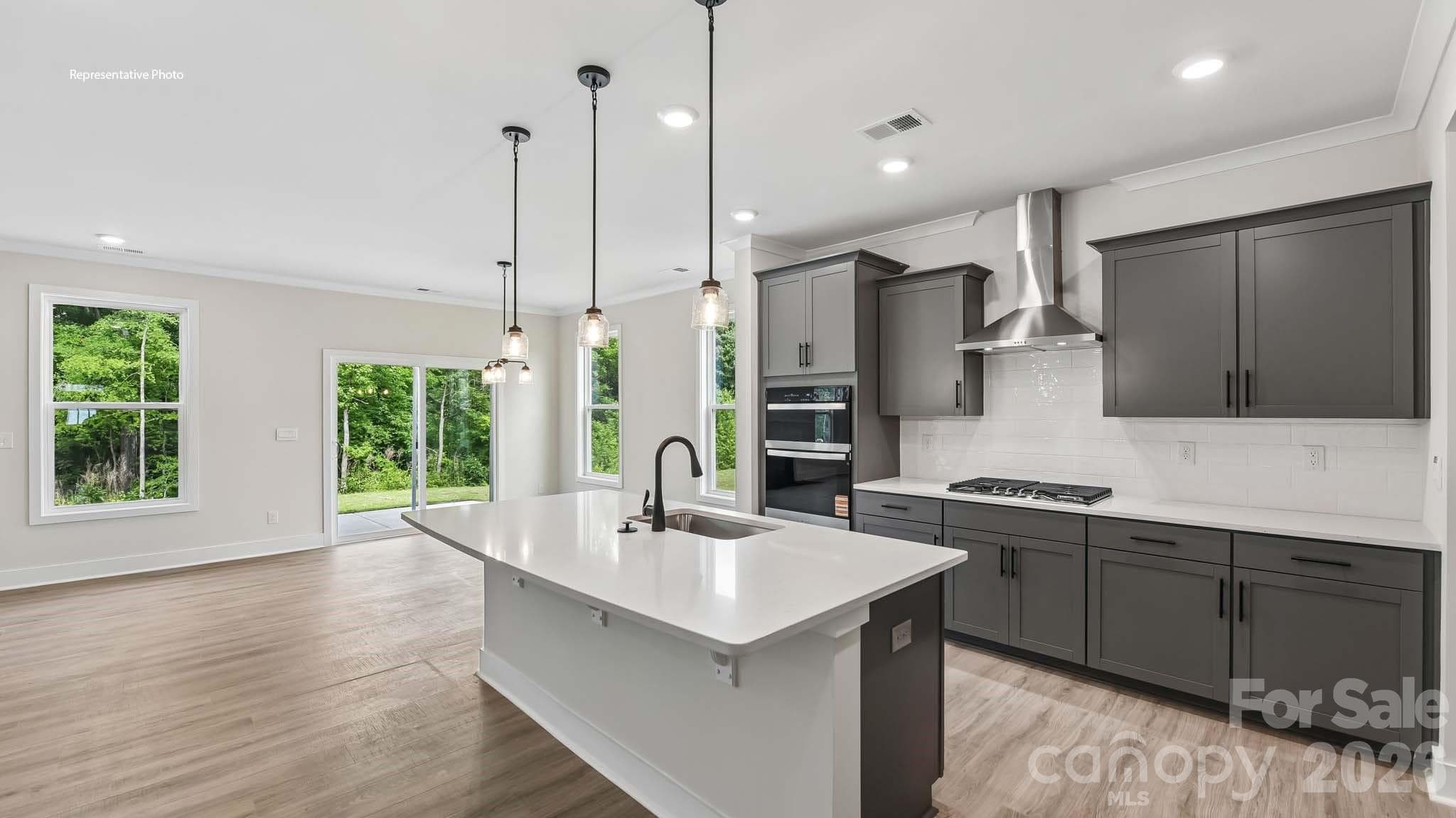 Single Family Residence at 1003 Tundra Swan Drive, Indian Trail, photo 12 of 35