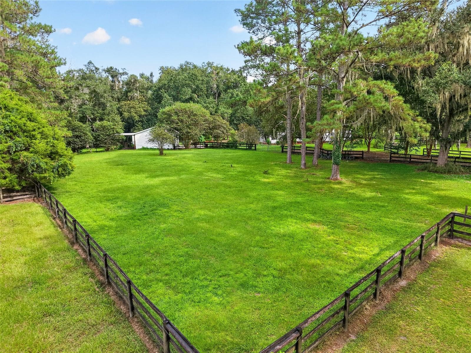 Farm at 17931 SE COUNTY ROAD 234, MICANOPY, photo 81 of 94