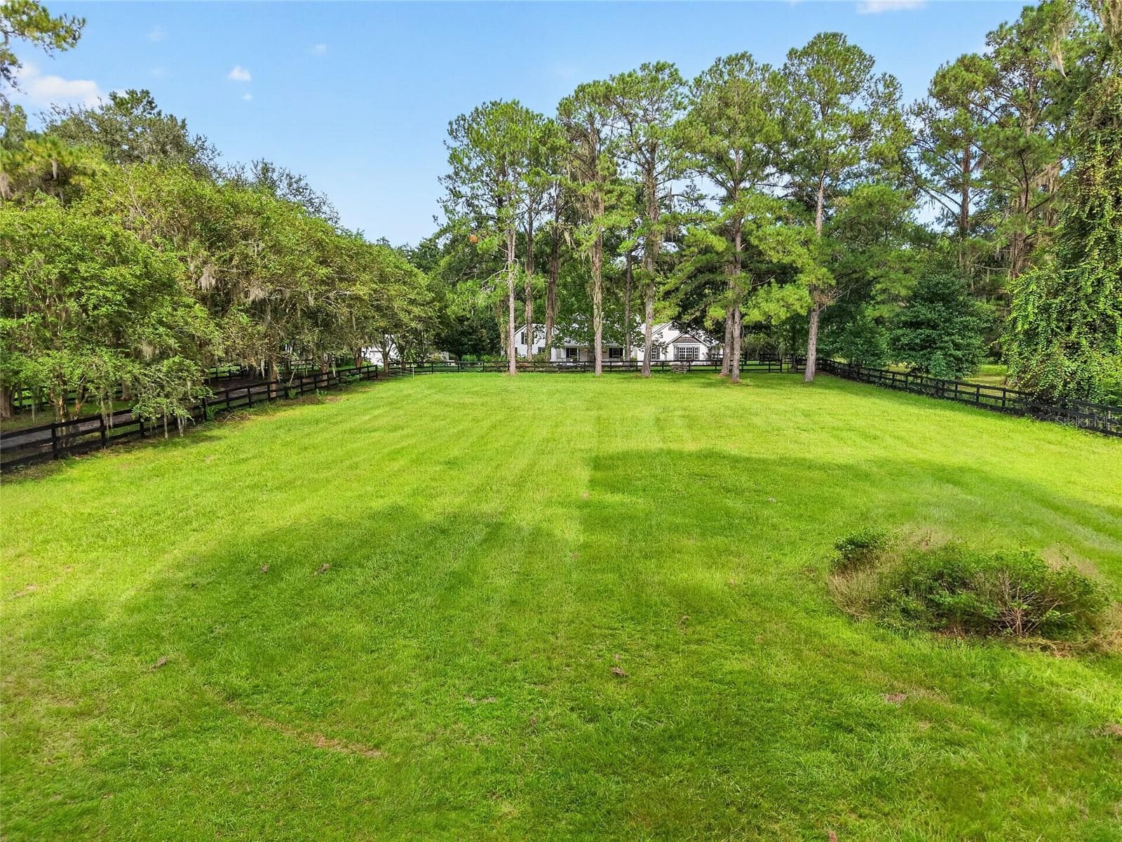 Farm at 17931 SE COUNTY ROAD 234, MICANOPY, photo 82 of 94