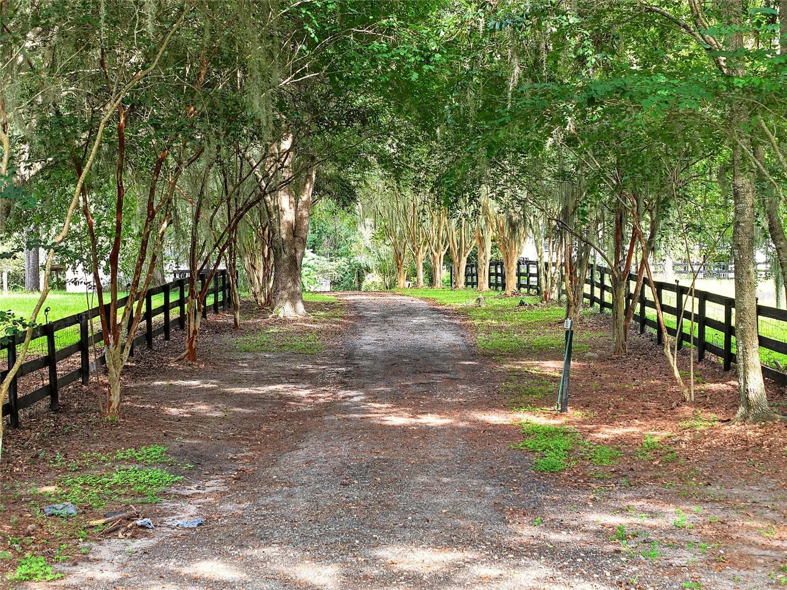 Farm at 17931 SE COUNTY ROAD 234, MICANOPY, photo 88 of 94
