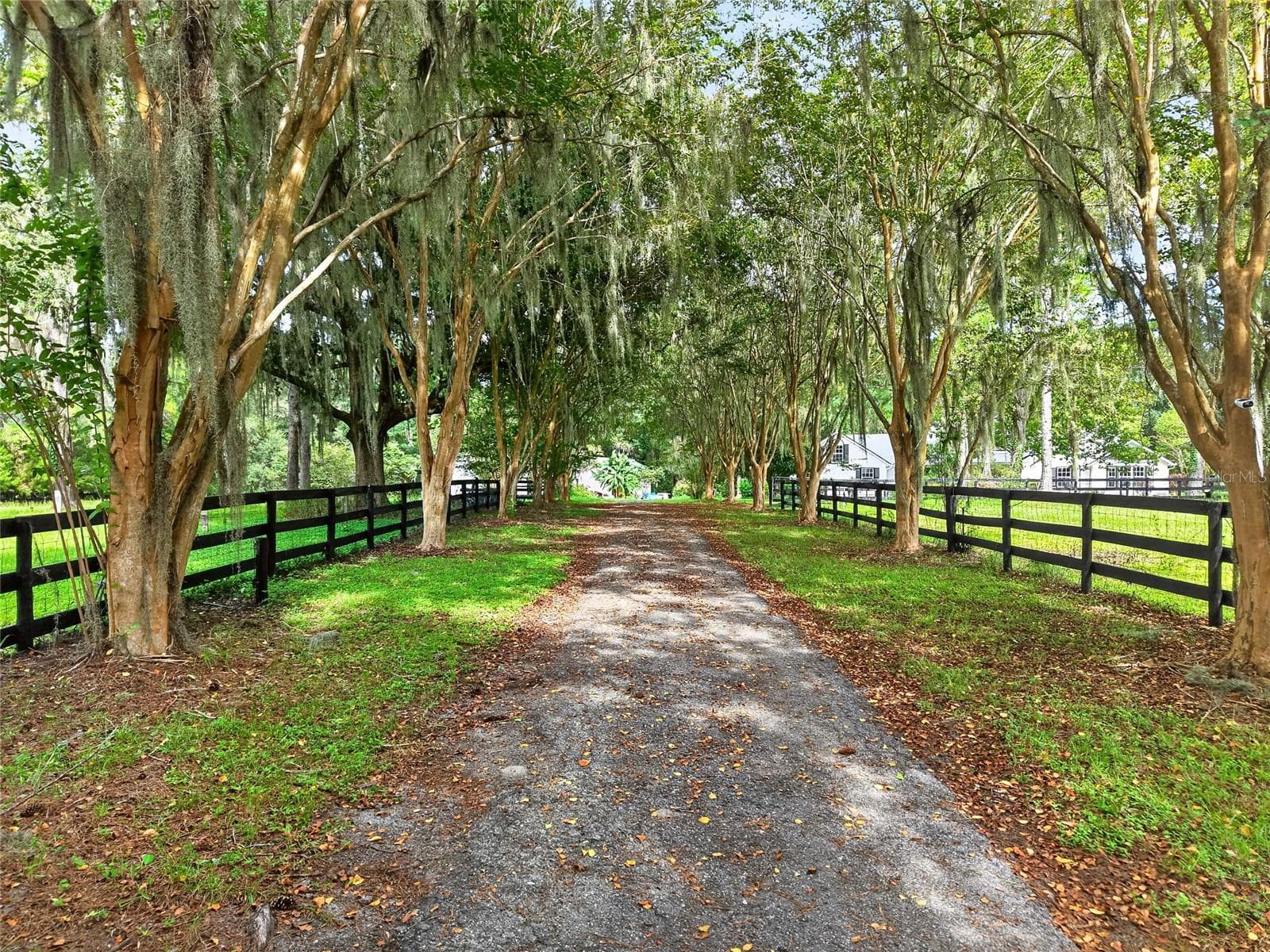 Farm at 17931 SE COUNTY ROAD 234, MICANOPY, photo 89 of 94