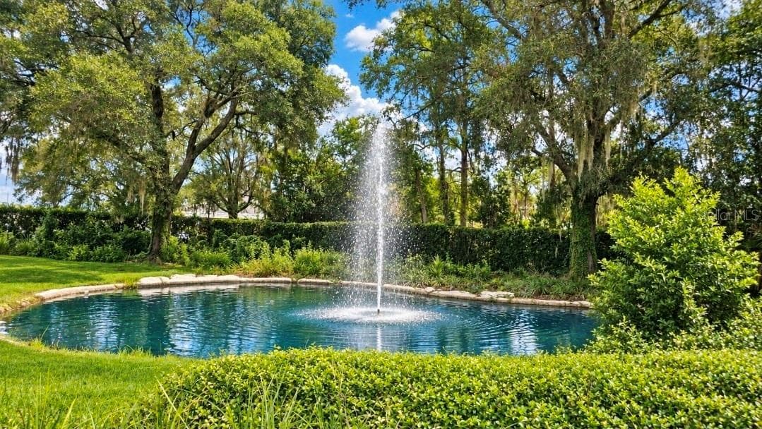 Enchanting Entrance to Resort Style Living Retirement community for todays active adult - 9282 SW 109TH LN, OCALA