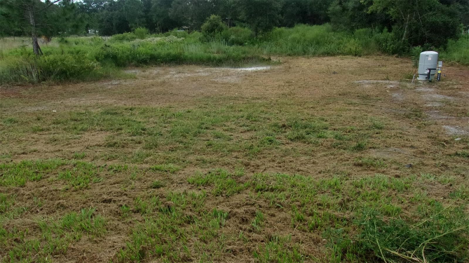 Large Back Yard - 8410 SW 157TH LN, DUNNELLON