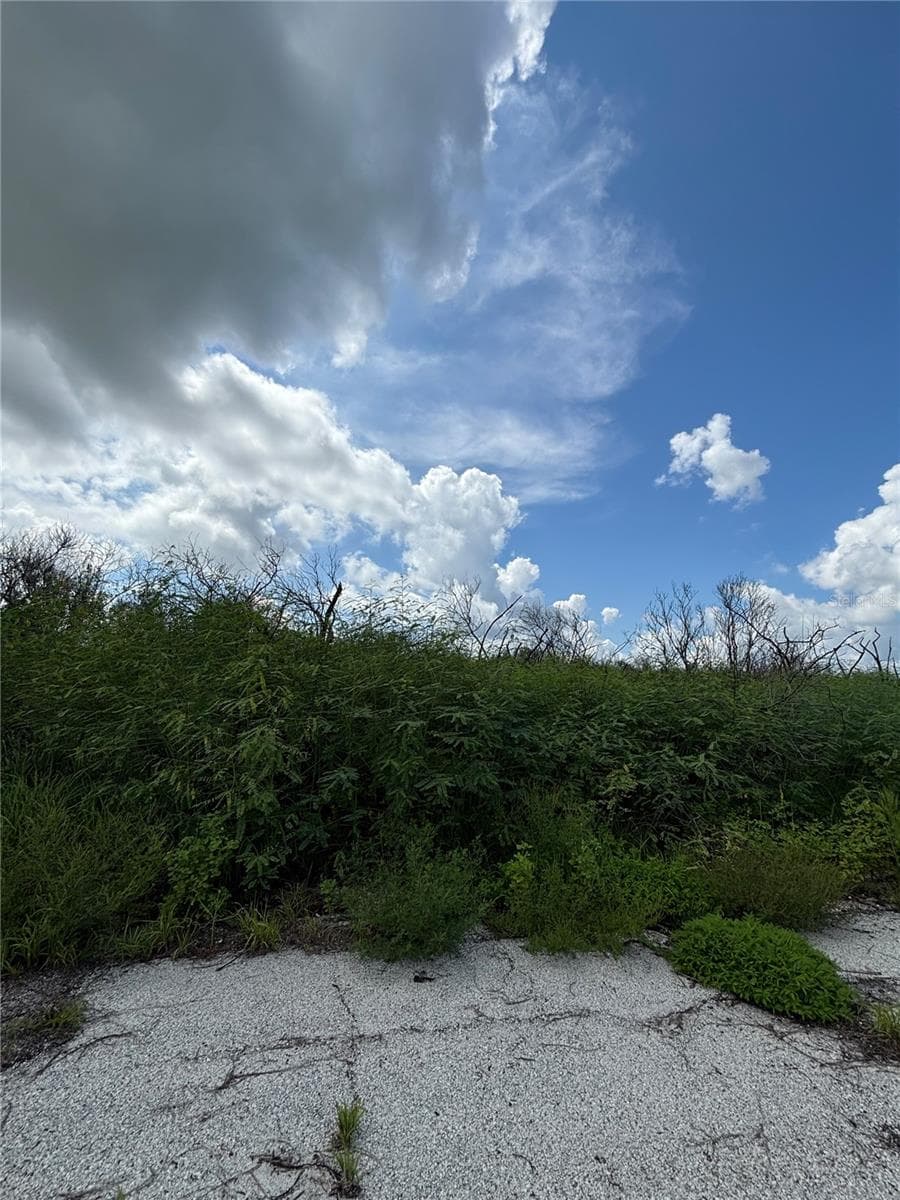 Land at 1574 PETUNIA ST SW, PALM BAY, photo 2 of 4