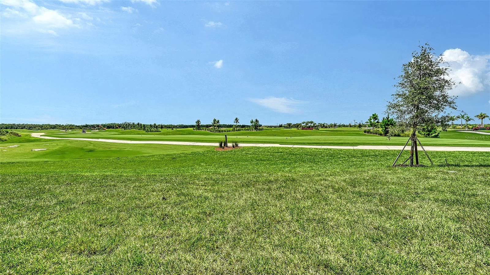 Golf Course Backyard View - 19618 CONCH DR, LAKEWOOD RANCH