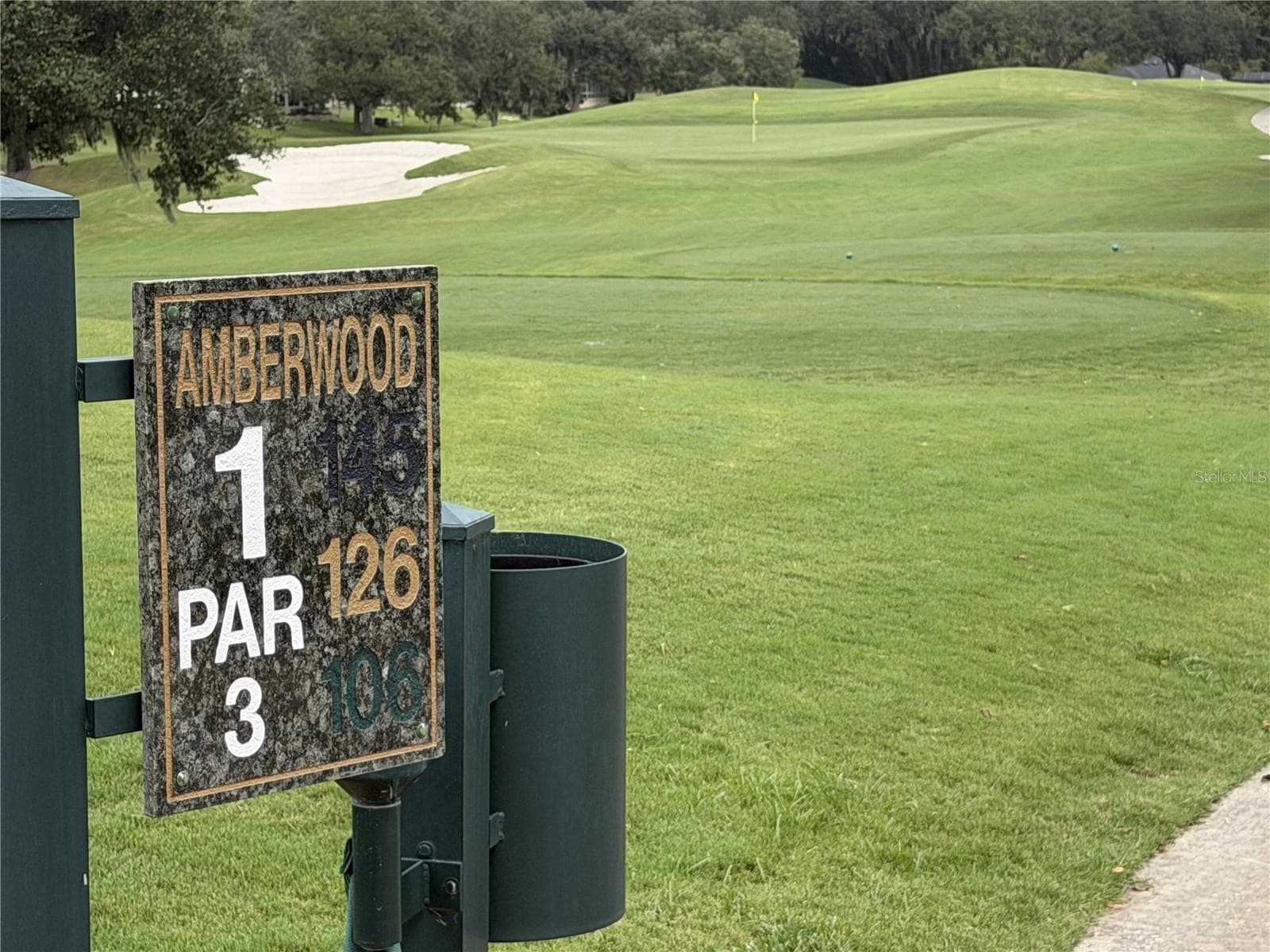 Amberwood 1 - 7169 SE 172ND HAZELWOOD LOOP, THE VILLAGES