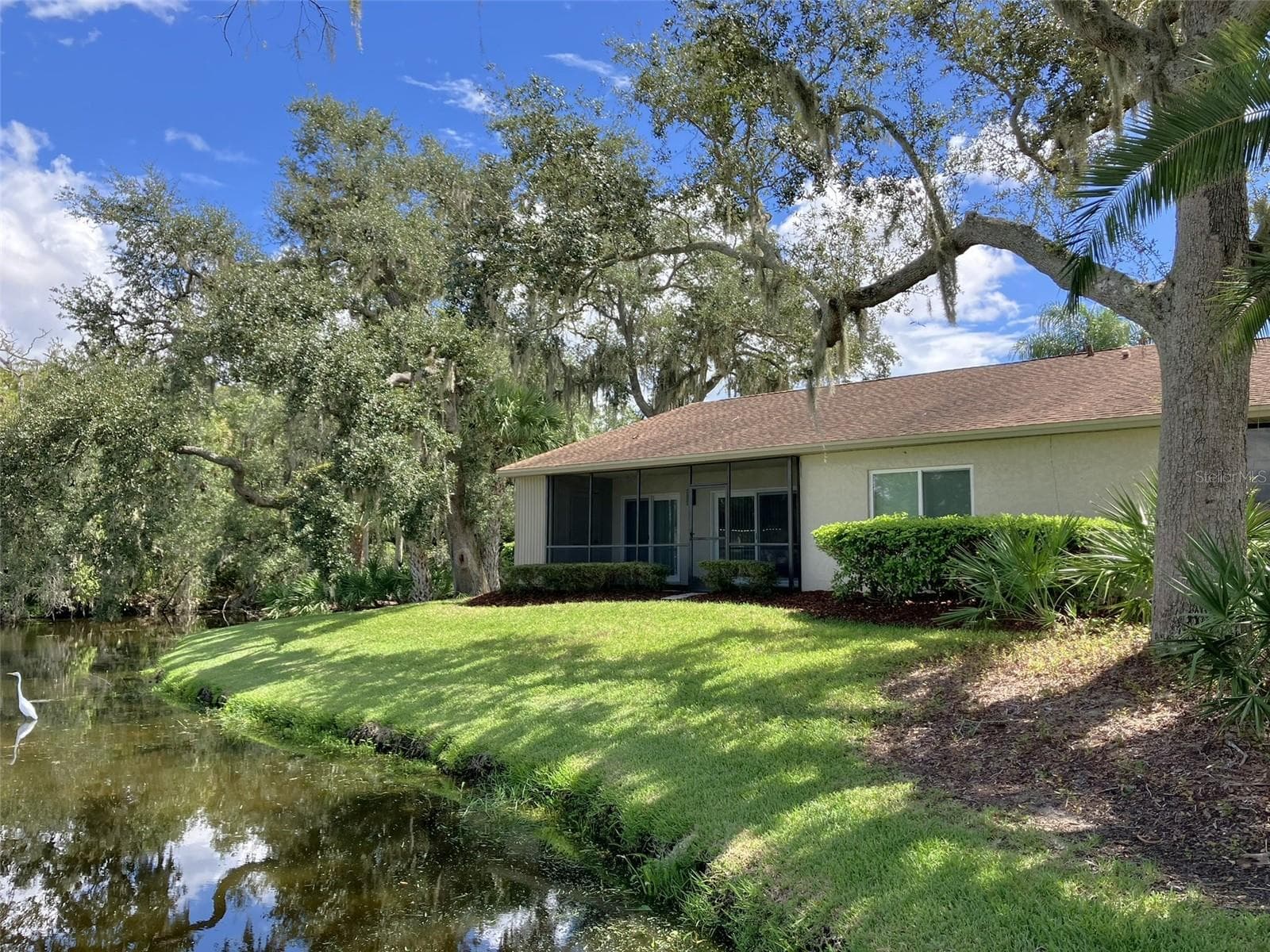 Back Yard - 110 EVELYN CT, OLDSMAR