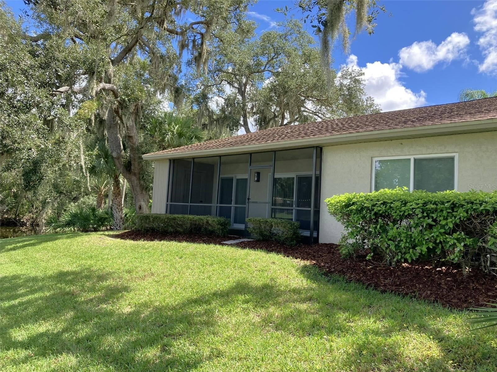 Back Yard - 110 EVELYN CT, OLDSMAR