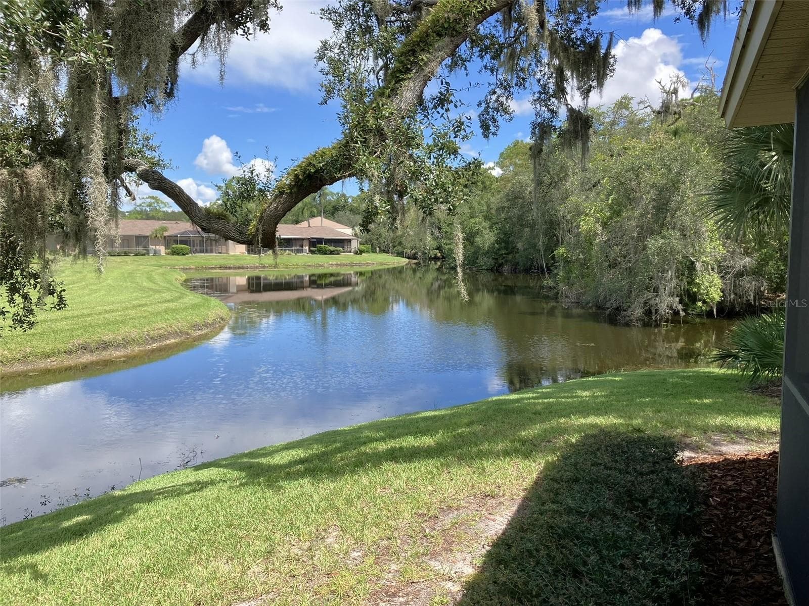 Rear View - 110 EVELYN CT, OLDSMAR