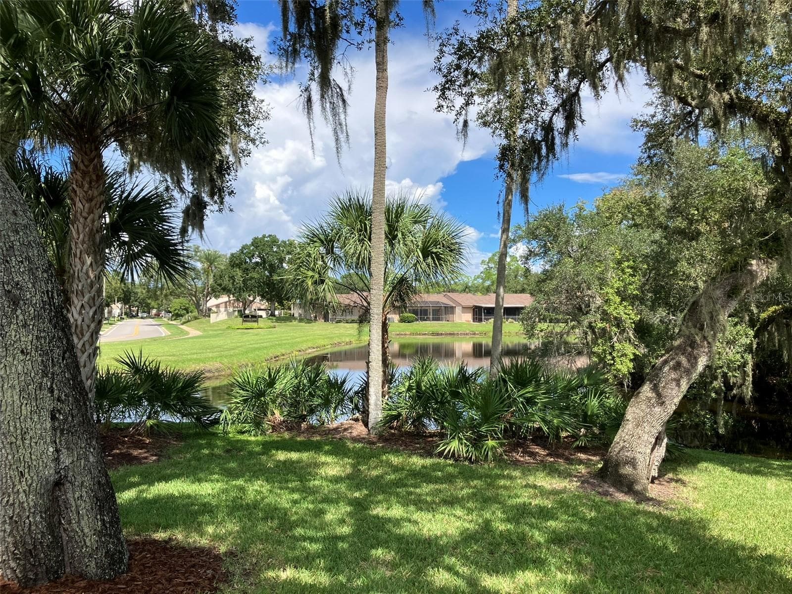 Side Yard - 110 EVELYN CT, OLDSMAR