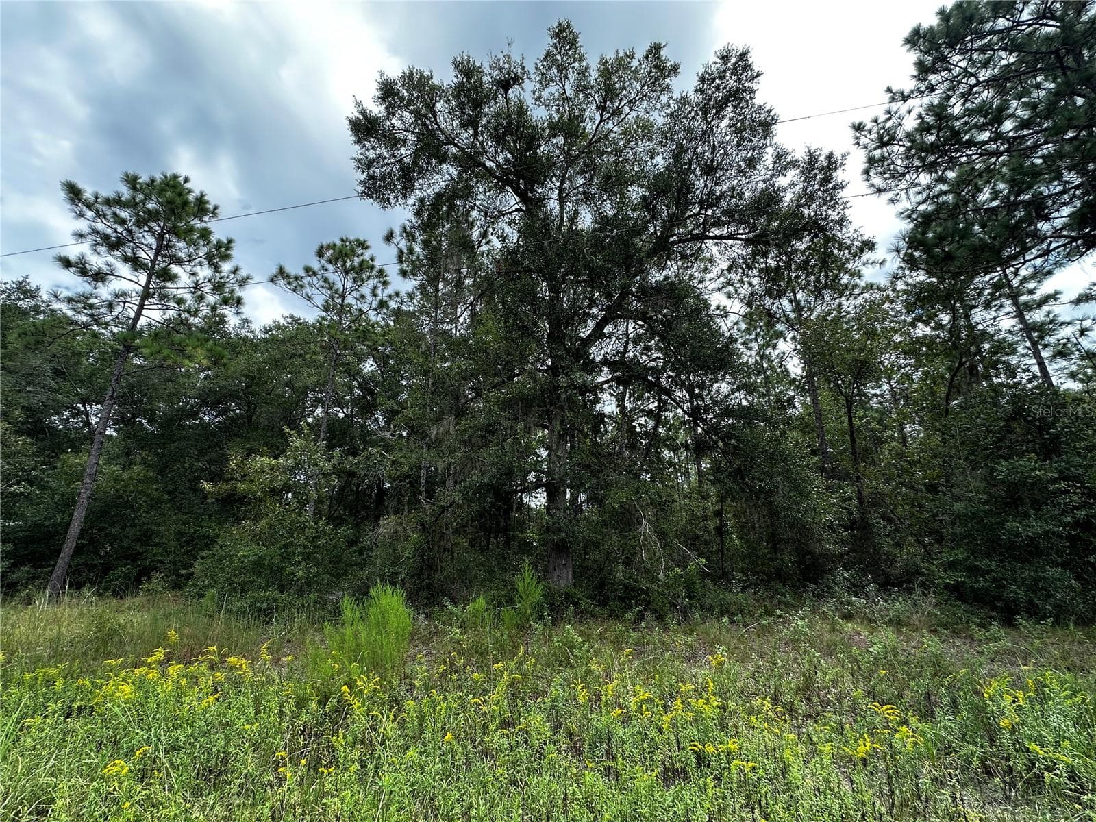 Land at 0000 NE 155TH CT, WILLISTON, photo 3 of 14