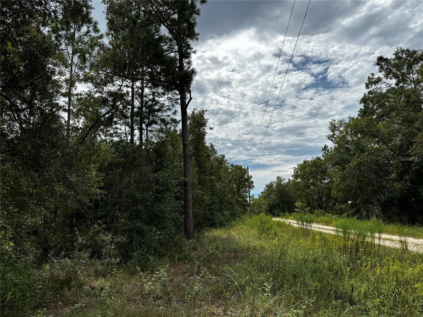 Land at 0000 NE 155TH CT, WILLISTON, photo 4 of 14