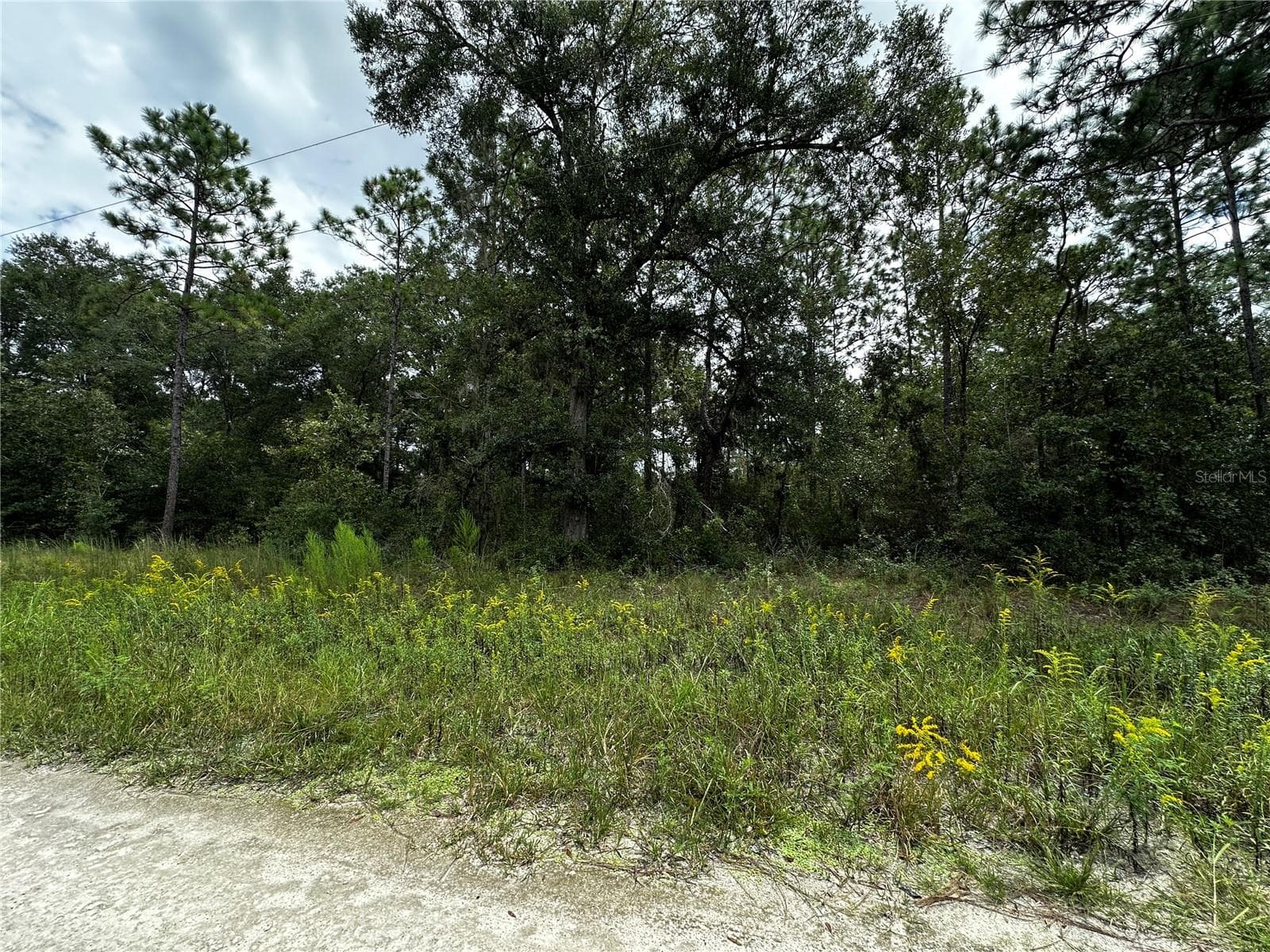 Land at 0000 NE 155TH CT, WILLISTON, photo 5 of 14