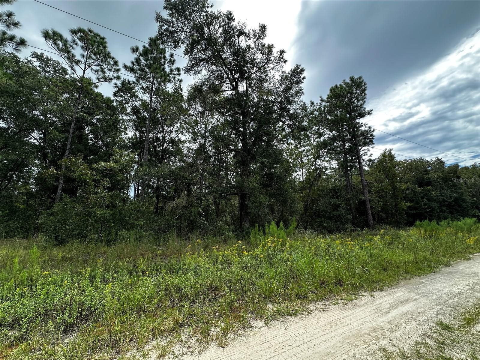 Land at 0000 NE 155TH CT, WILLISTON, photo 6 of 14