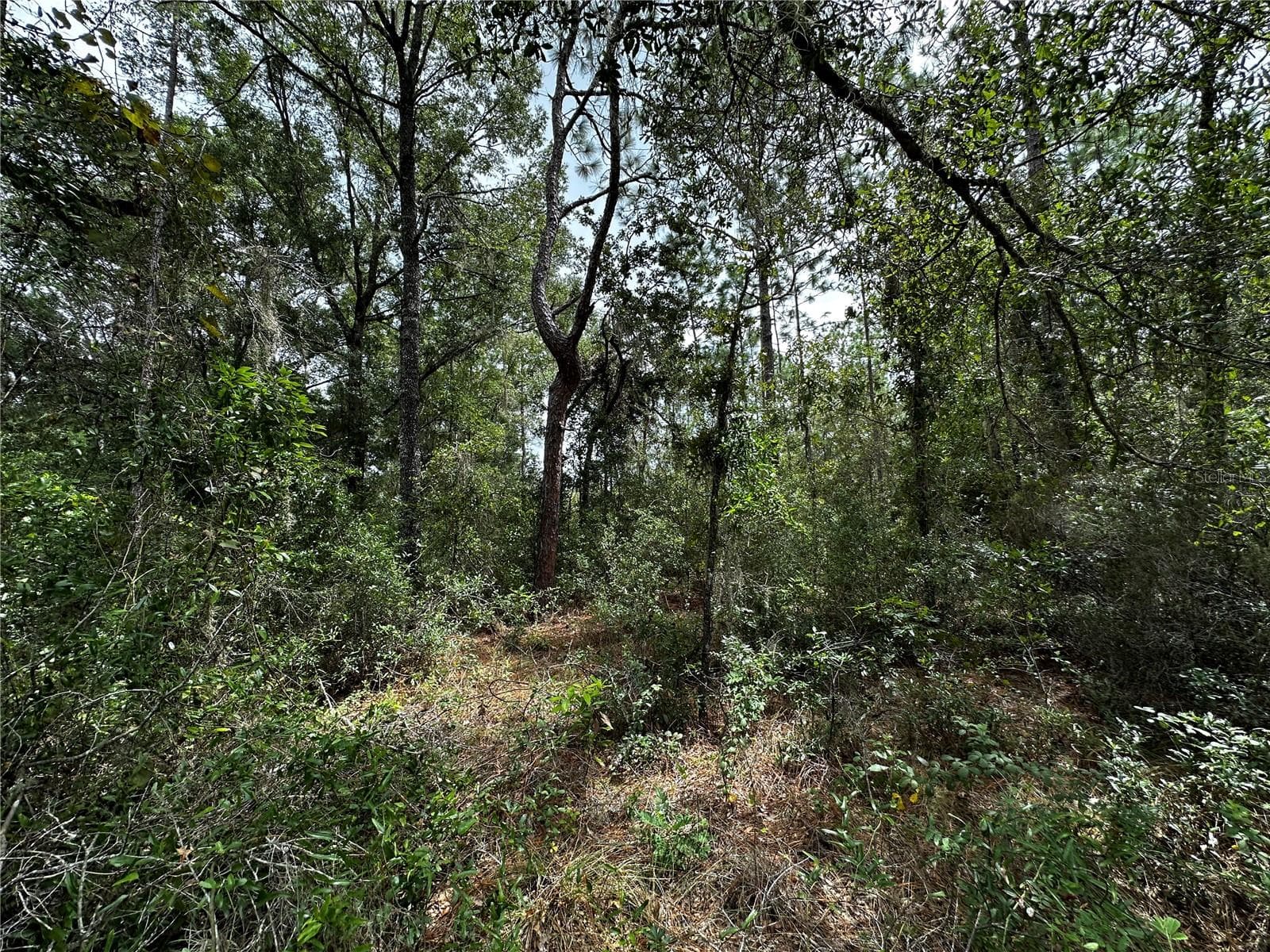 Land at 0000 NE 155TH CT, WILLISTON, photo 8 of 14