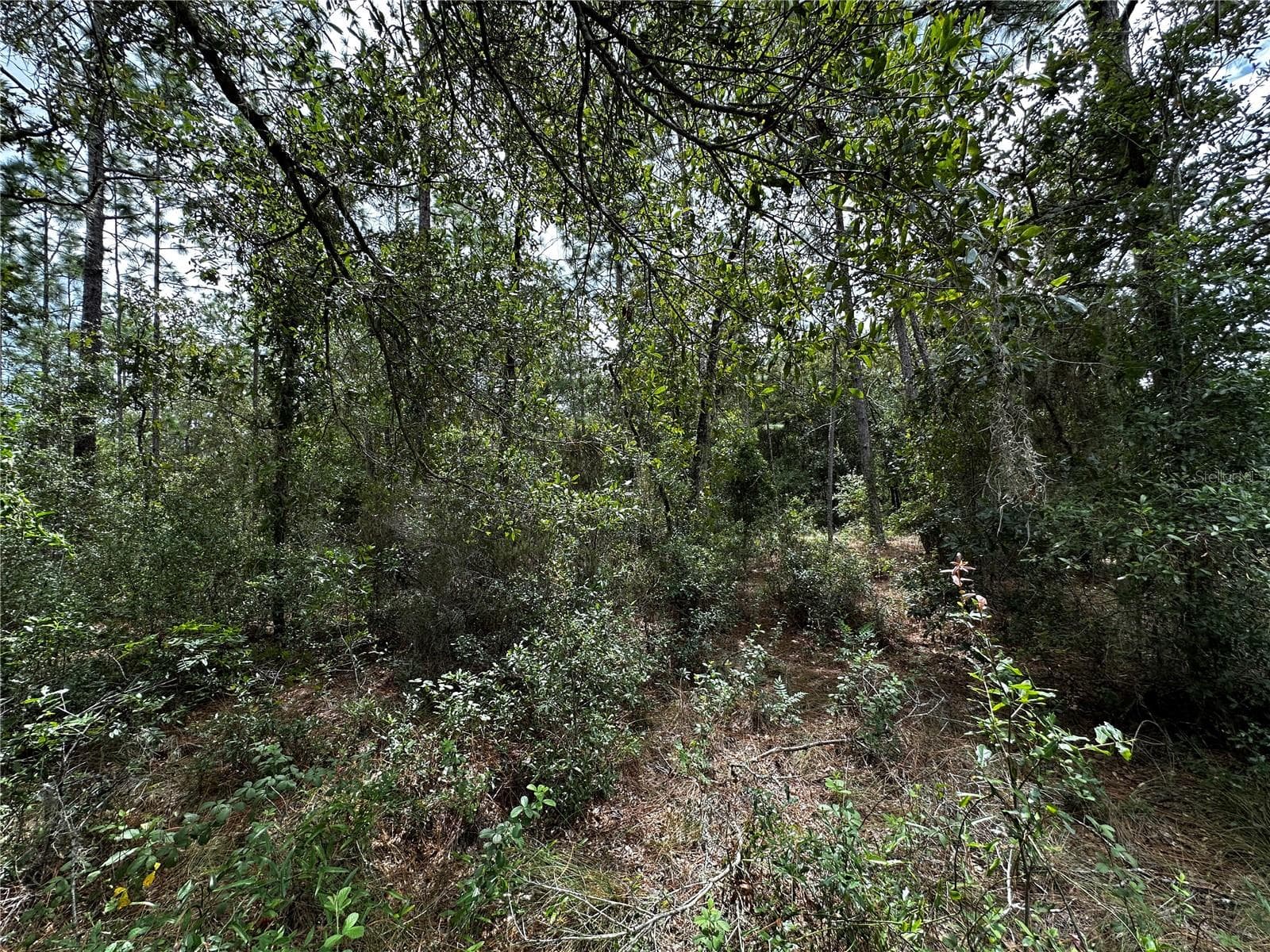 Land at 0000 NE 155TH CT, WILLISTON, photo 9 of 14