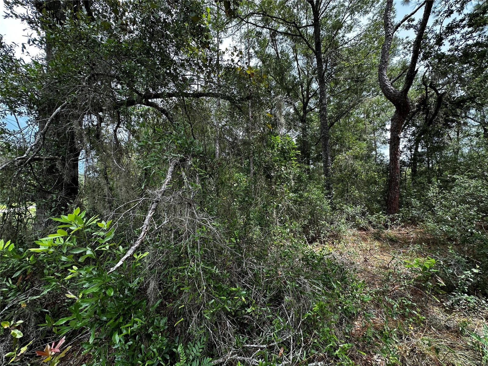 Land at 0000 NE 155TH CT, WILLISTON, photo 10 of 14
