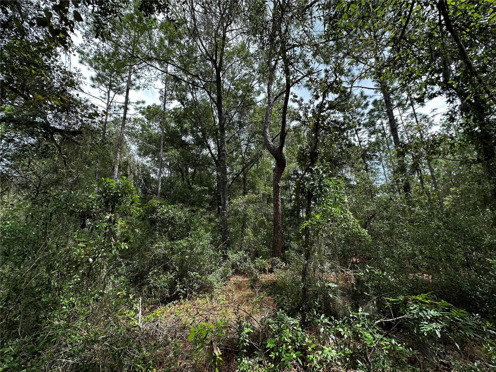 Land at 0000 NE 155TH CT, WILLISTON, photo 11 of 14