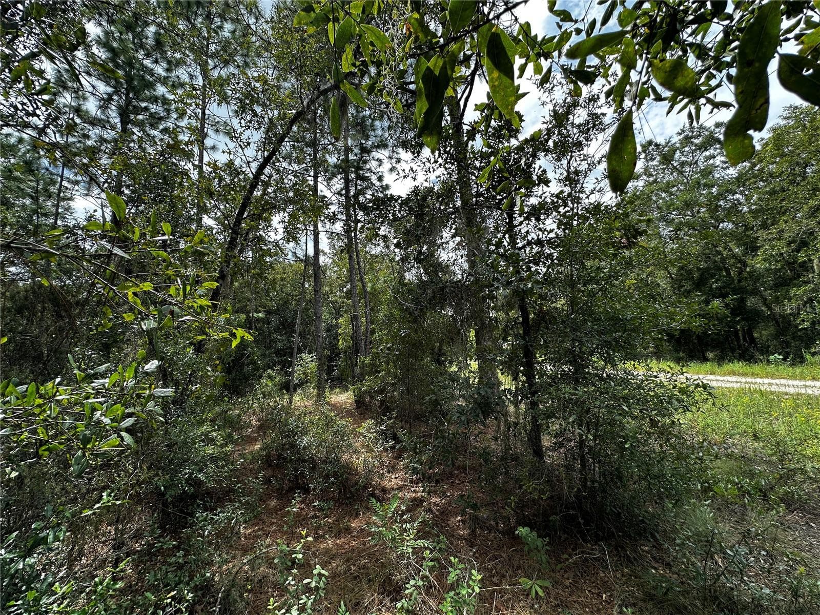Land at 0000 NE 155TH CT, WILLISTON, photo 12 of 14